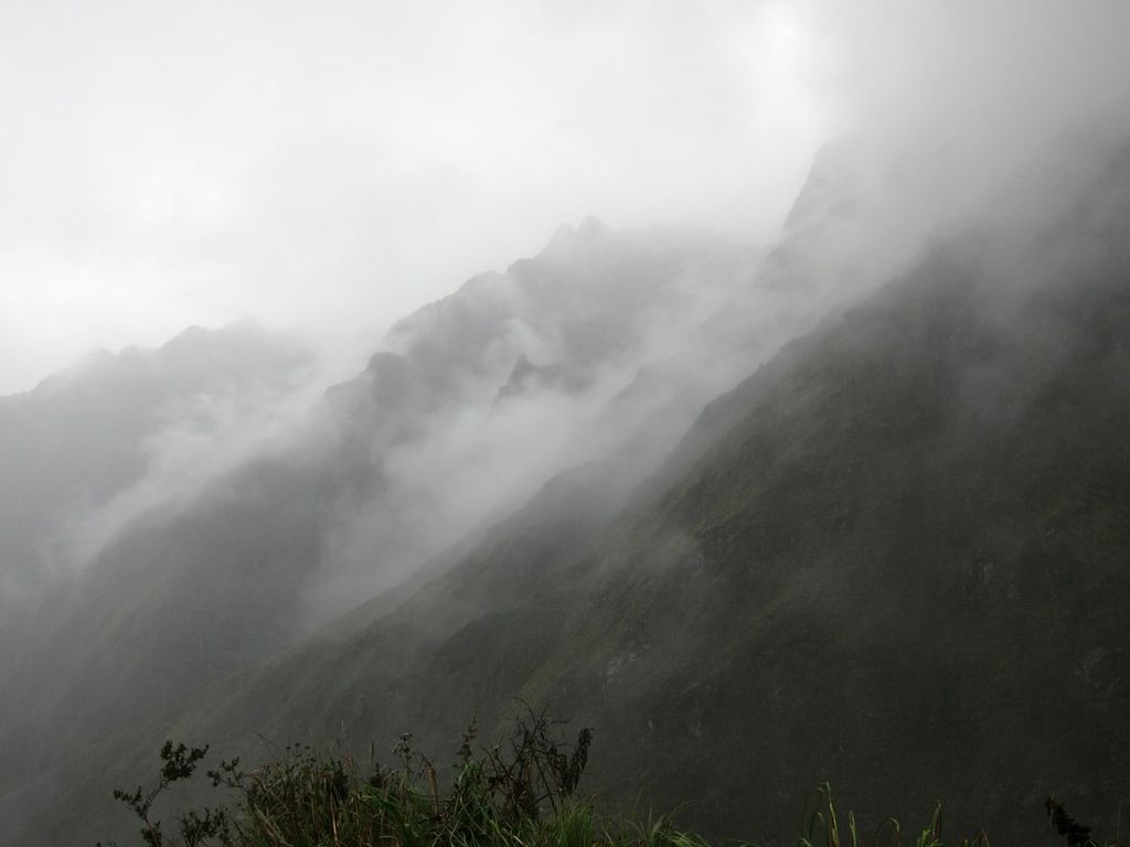 Mountain Mist