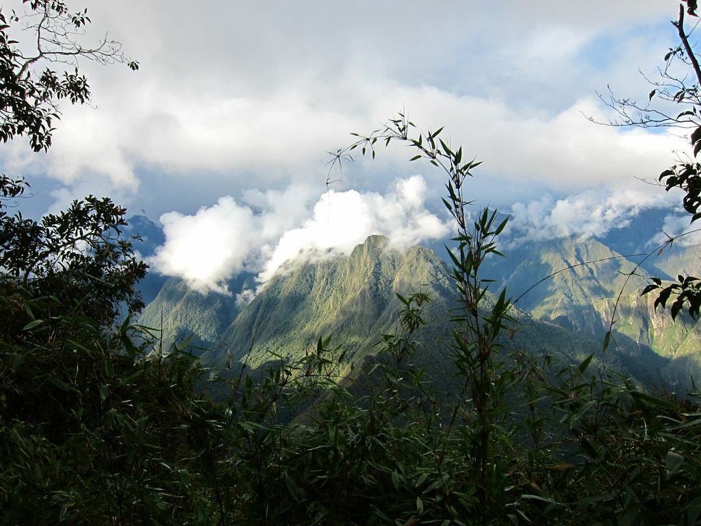 View from the path